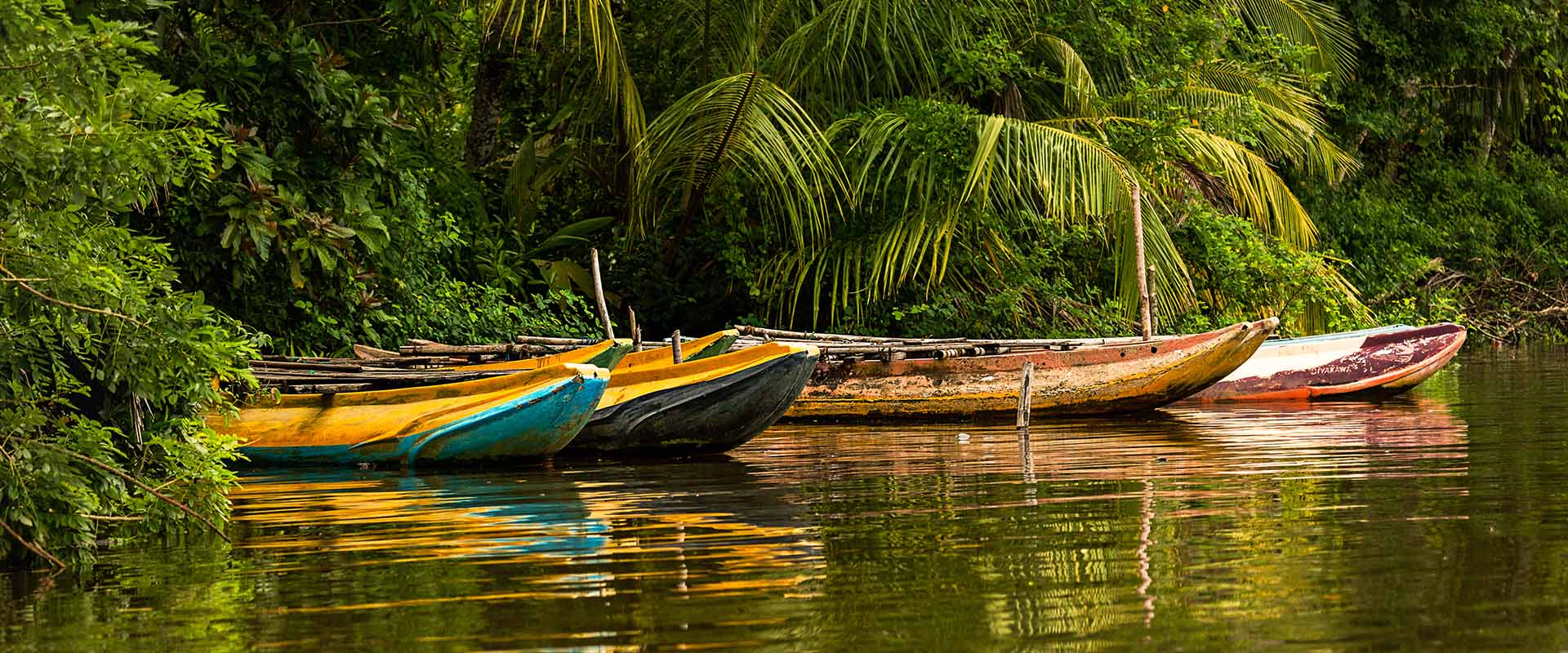 Cinnamon_Island_Banner_04.jpg
