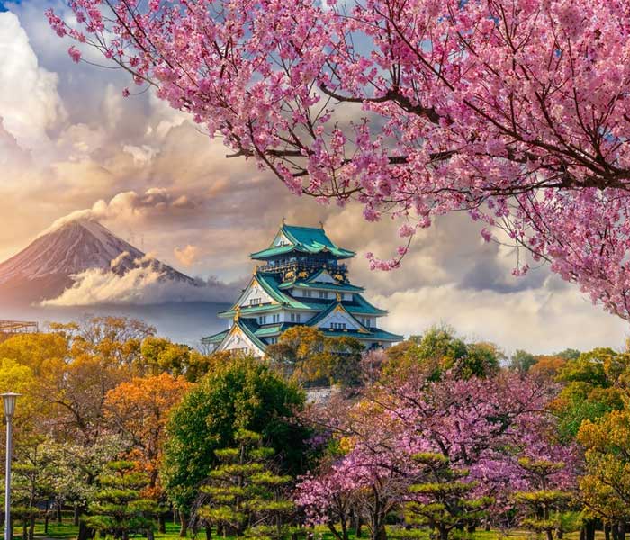 japan-tourist-attractions.jpg