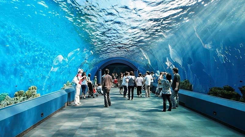Underwater-World.jpg